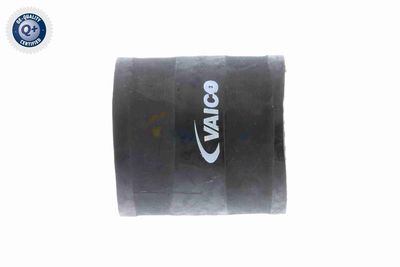 FURTUN EAR SUPRAALIMENTARE VAICO V401366 1