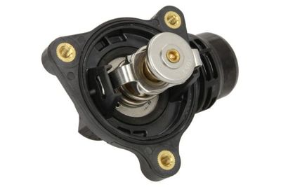 Thermostat, coolant D2B005TT