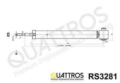 AMORTIZOR DAVID VASCO RS3281 1