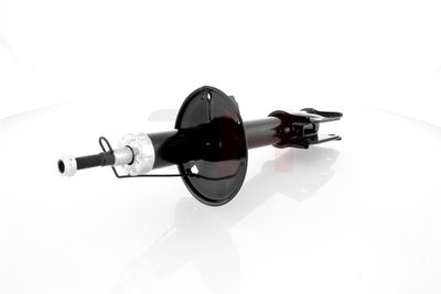 AMORTIZOR GH GH353997 10