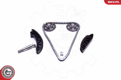 Timing Chain Kit 21SKV171