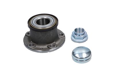 Wheel Bearing Kit WBK-10071