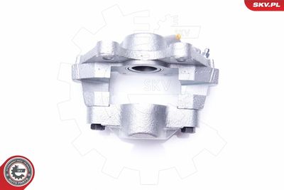 Brake Caliper 34SKV903