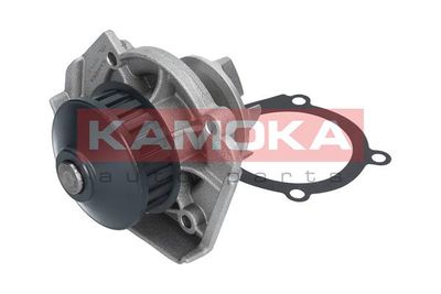 Water Pump, engine cooling T0117