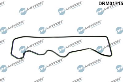 Gasket, cylinder head cover DRM01715