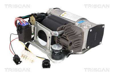COMPRESOR INSTALATIE AER COMPRIMAT TRISCAN 872511106 2