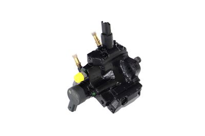POMPA DE INALTA PRESIUNE REMANTE 002002000055R 39