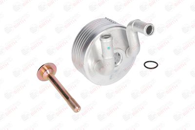 RADIATOR ULEI ULEI MOTOR BIRTH 80138 12