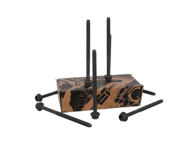 SET SURUB CHIULASA ET ENGINETEAM BS0079 17