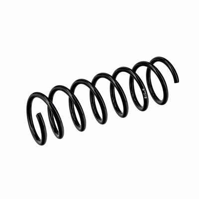 ARC SPIRAL EIBACH R10838 17