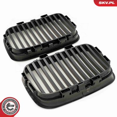 GRILA RADIATOR ESEN SKV 66SKV046 4