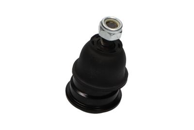 Kavo Parts Šarnyras / girgždukas