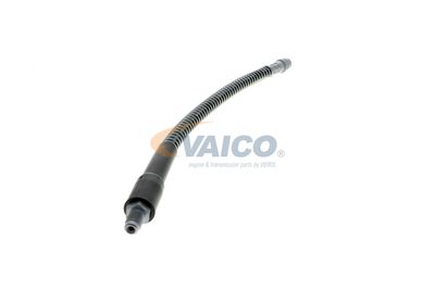 FURTUN FRANA VAICO V464113 50