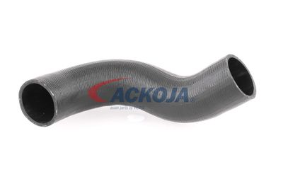 FURTUN EAR SUPRAALIMENTARE ACKOJA A380298 12