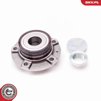 SET RULMENT ROATA ESEN SKV 29SKV070 1