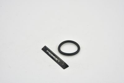 GARNITURA FLANSA LICHID RACIRE FEBEST TTTRAFII 9