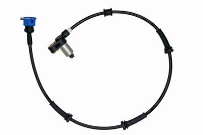 SENZOR TURATIE ROATA