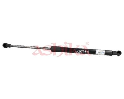 ZSA02081