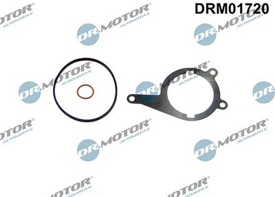 Těsnění, vakuové čerpadlo LIZARTE DRM01720