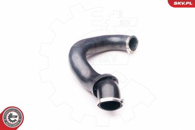 FURTUN EAR SUPRAALIMENTARE