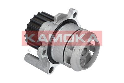 Water Pump, engine cooling T0253