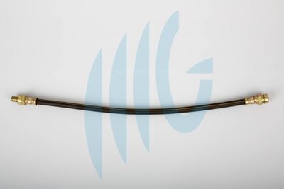 Тормозной шланг RICAMBIFLEX GM 02440552 для RENAULT 12