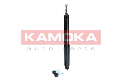 Shock Absorber 2000988