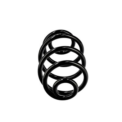 ARC SPIRAL EIBACH R10374 13