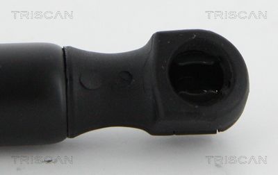 Amortizor portbagaj TRISCAN 8710 18237