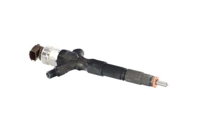 INJECTOR REMANTE 002003002073R 46