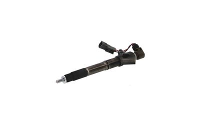 INJECTOR REMANTE 002003001324R 63