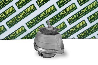 окачване, двигател FIRST LINE FEM4316