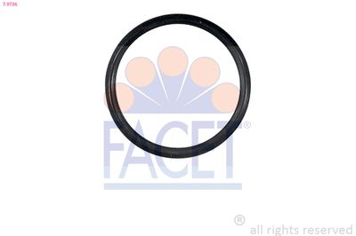FACET Tarpiklis, termostatas