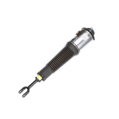 LUFTFEDERBEIN Arnott AS2561 61