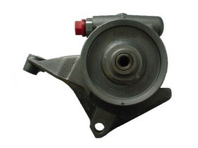 HYDRAULIKPUMPE LENKUNG