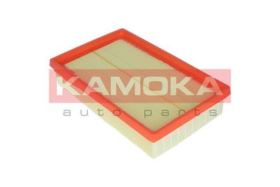 Air Filter F224301