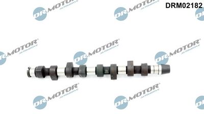 Camshaft DRM02182