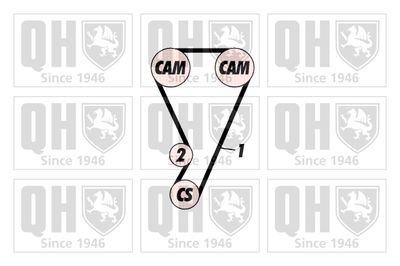 SET CUREA DE DISTRIBUTIE QUINTON HAZELL QBK374 1