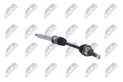 PLANETARA NTY NPWFR028 12