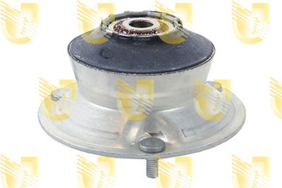 FEDERBEINSTüTZLAGER