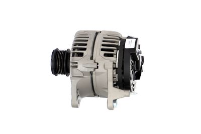 GENERATOR / ALTERNATOR REMANTE 011003000481R 15