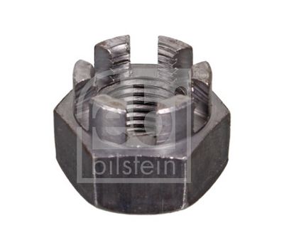 PIULITA CRENELATA FEBI BILSTEIN 101026