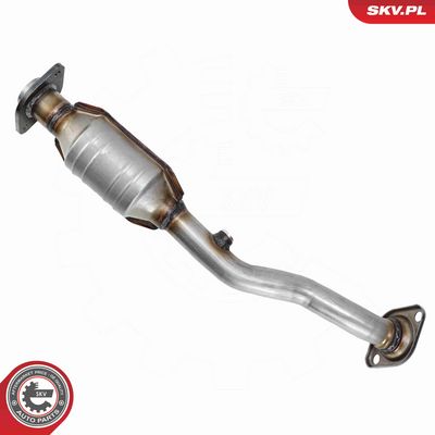 CATALIZATOR ESEN SKV 62SKV138 2