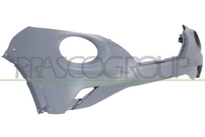 STOßFäNGER PRASCO DS7041011