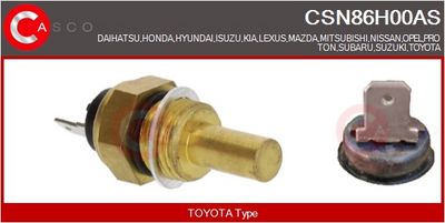 SENZOR TEMPERATURA LICHID DE RACIRE