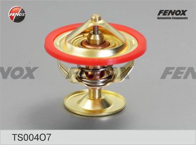 термостат, охладителна течност FENOX