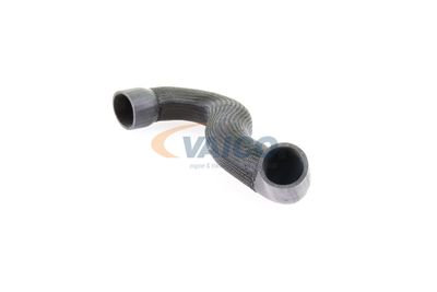 FURTUN EAR SUPRAALIMENTARE VAICO V103833 19