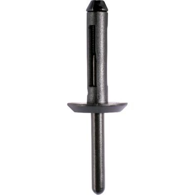 SORTIMENT BLINDNIET KS TOOLS 4201305