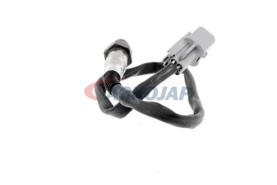 SONDA LAMBDA ACKOJA A53760012 39