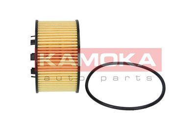 Oil Filter F103001